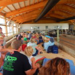 Books in the Barn - August 18, 2016